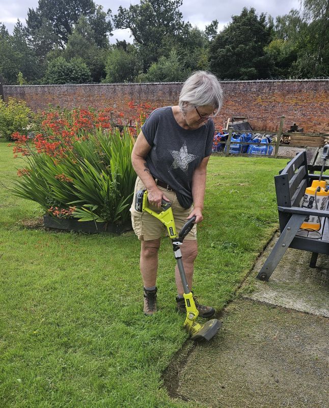 Trimming the edges in the walled garden